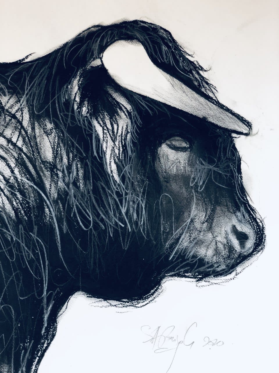 Shabs Beigh, Bull Head Study , 2020