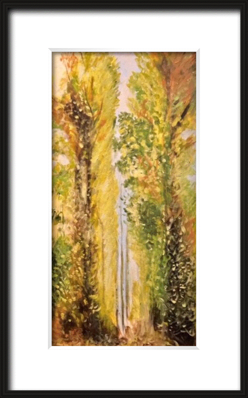 Shabs Beigh, Monet's Poplars