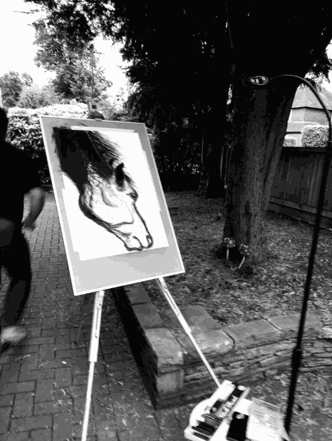 Shabs Beigh, Horse Head Study, 2019