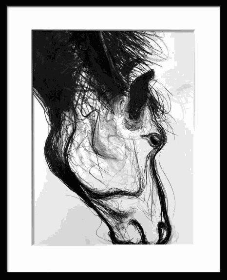 Shabs Beigh, Horse Head Study, 2019