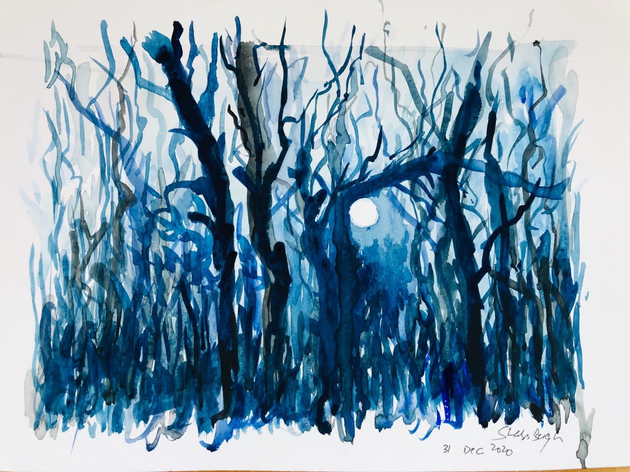 Shabs Beigh, Moonlit Sky, 2020