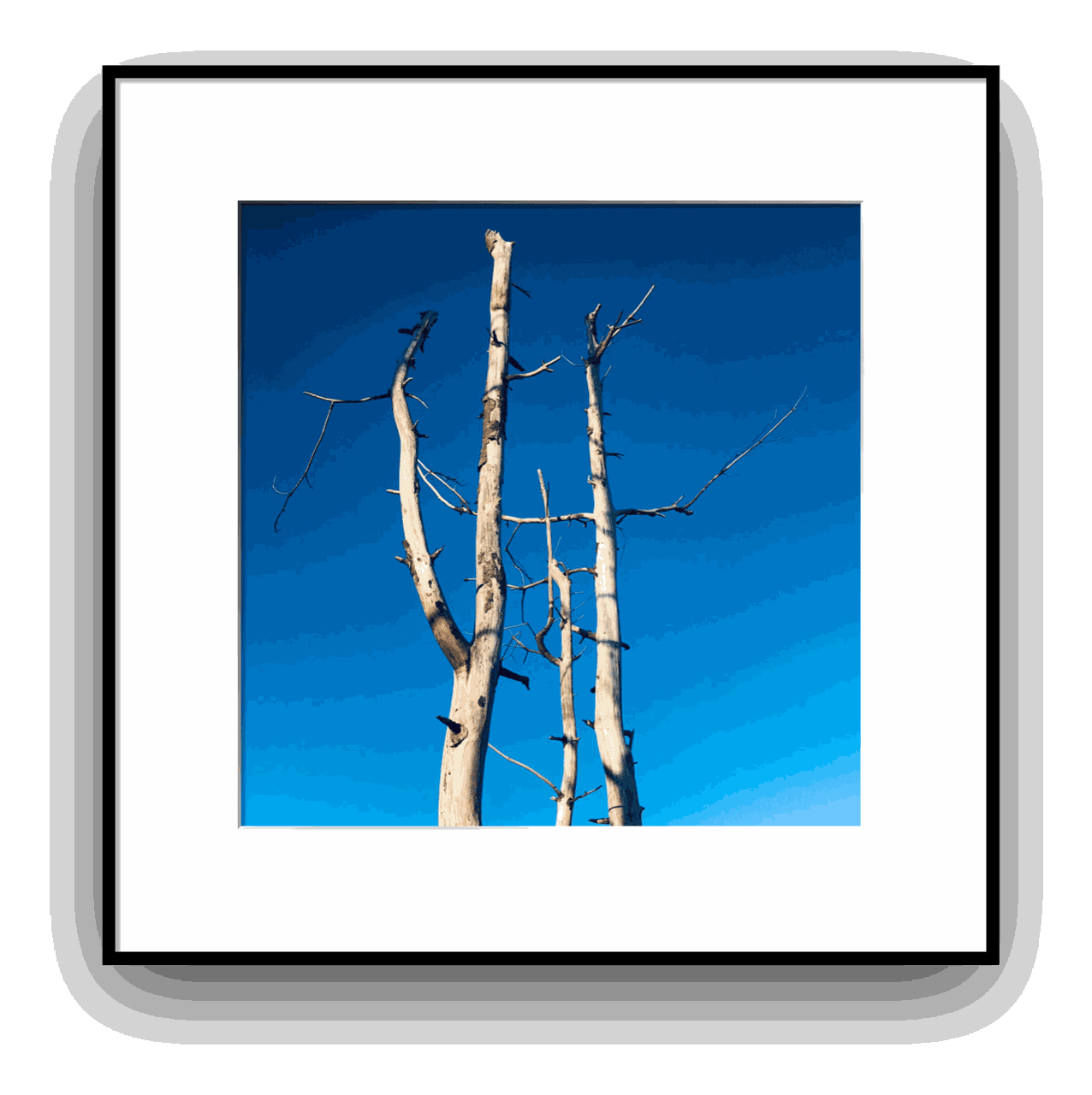 Shabs Beigh, High In The Sky, 2021