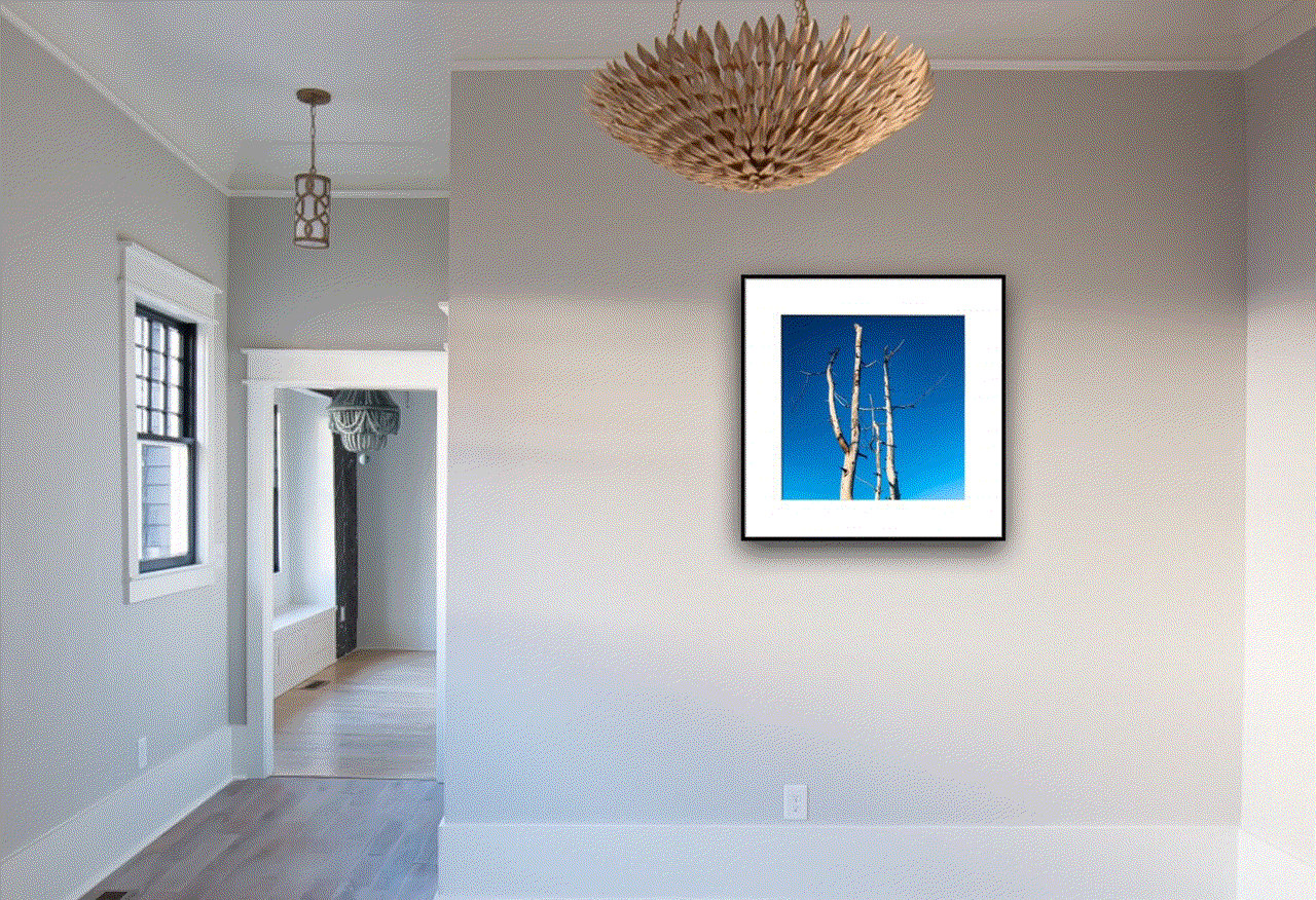 Shabs Beigh, High In The Sky, 2021