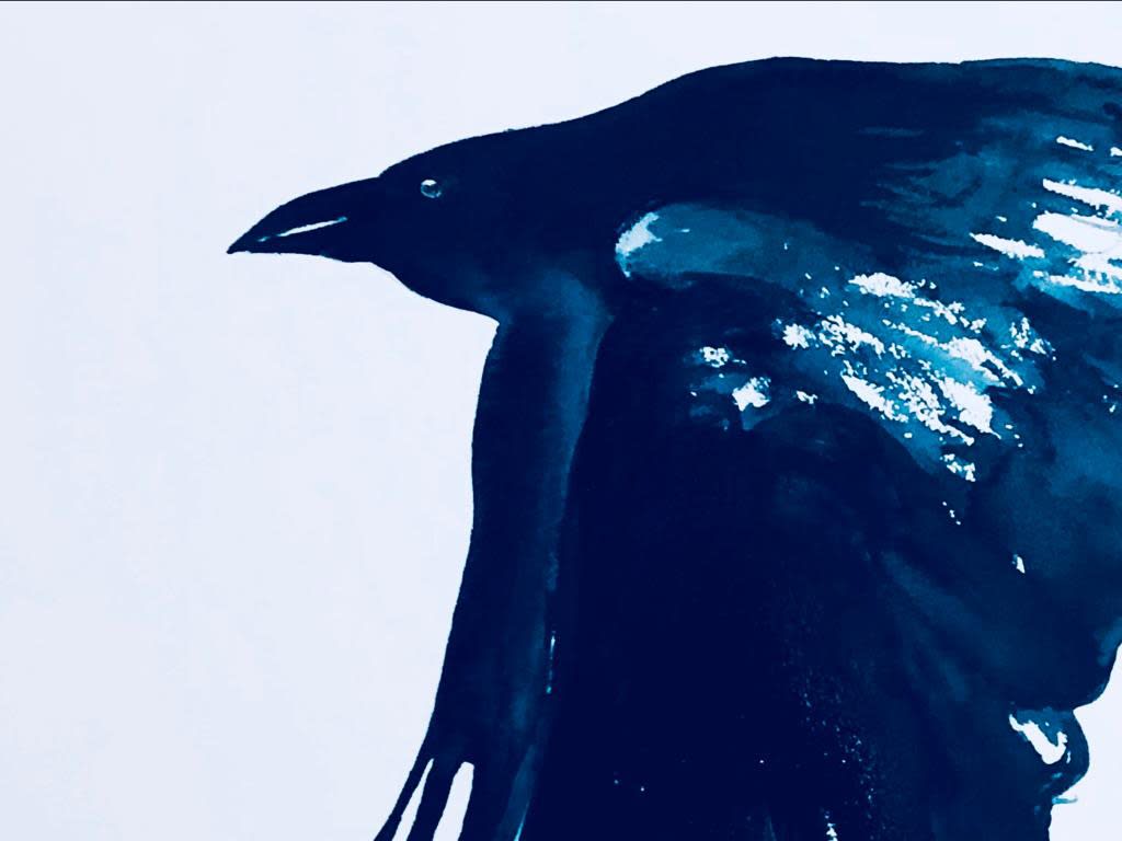 Shabs Beigh, Flight 7, 2021