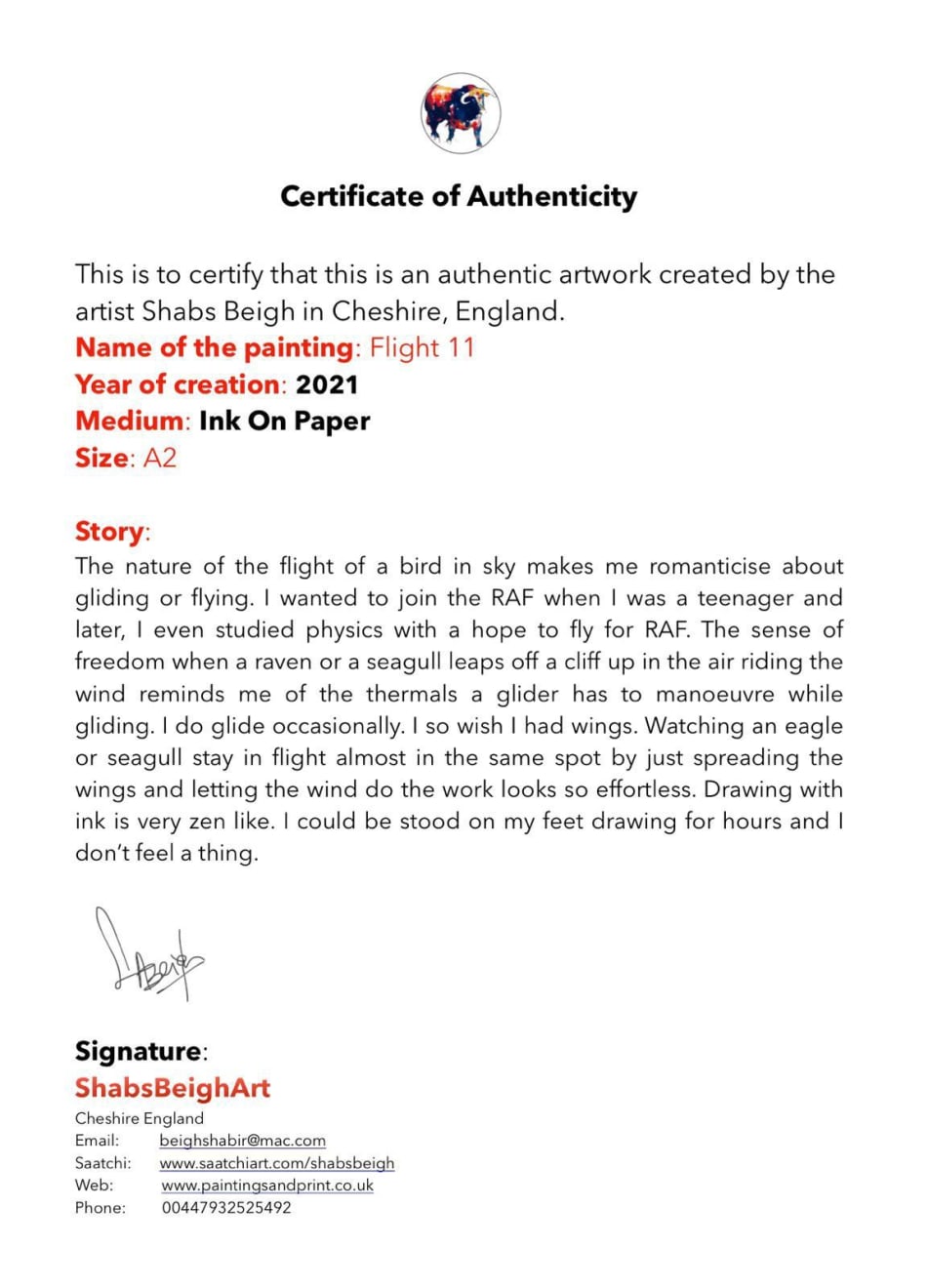 Shabs Beigh, Flight 11, 2021