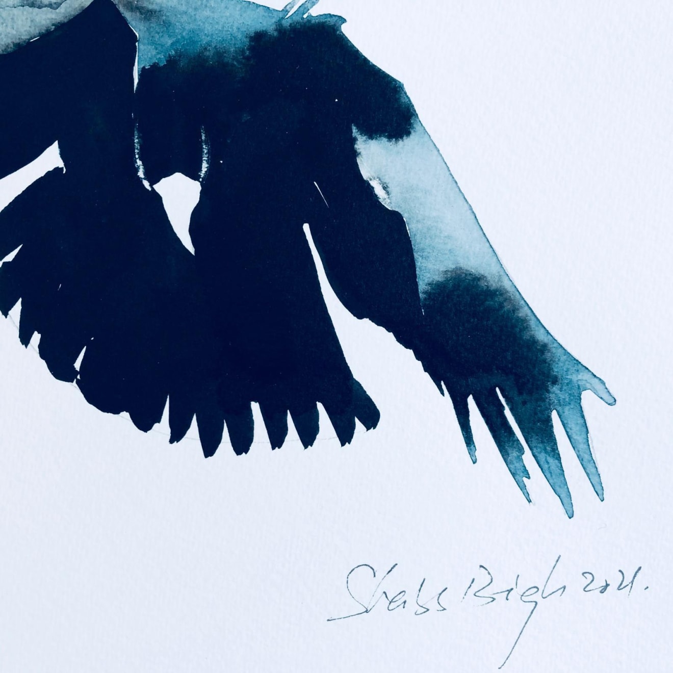 Shabs Beigh, Flight 11, 2021