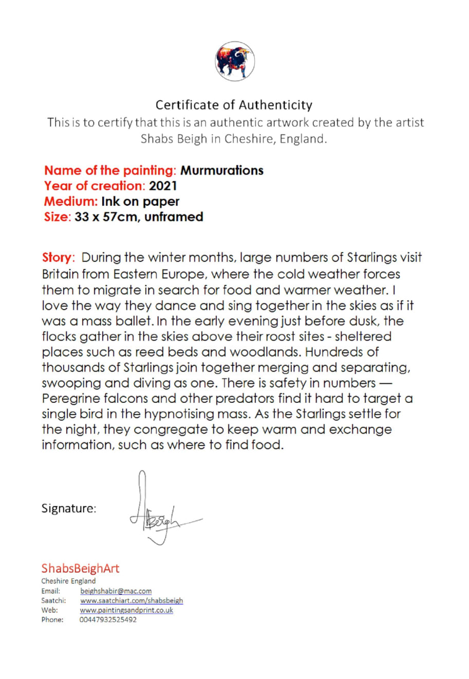 Shabs Beigh, Murmurations, 2021