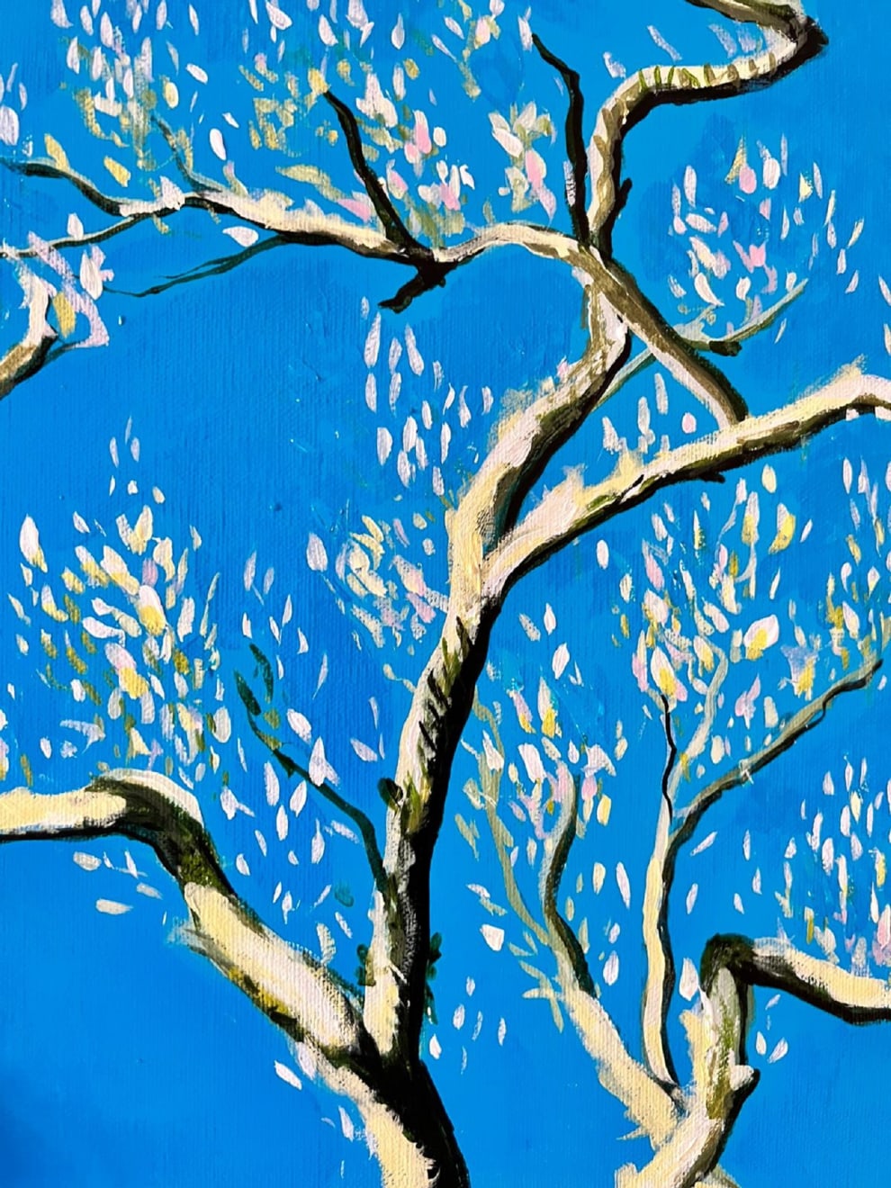 Shabs Beigh, Magnolia In Spring 5, 2022