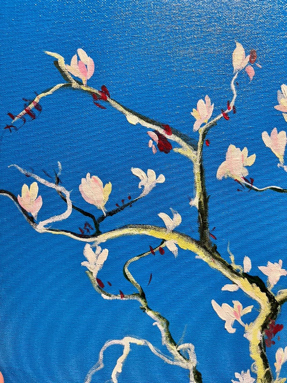 Shabs Beigh, Magnolia In Spring 6, 2022