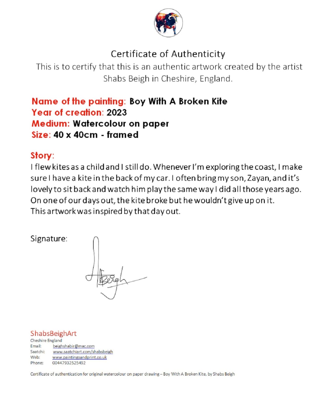 Shabs Beigh, Boy With A Broken Kite, 2023