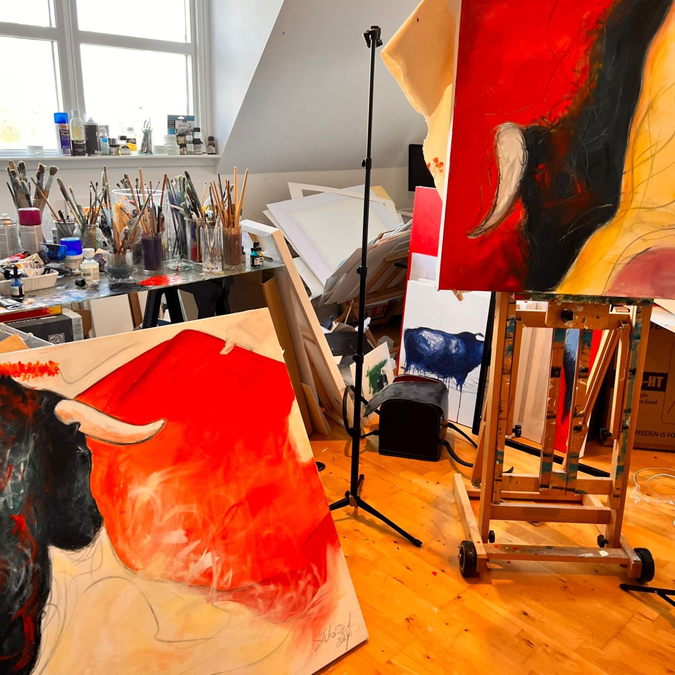 Shabs Beigh, Paso Doble 2, 2024