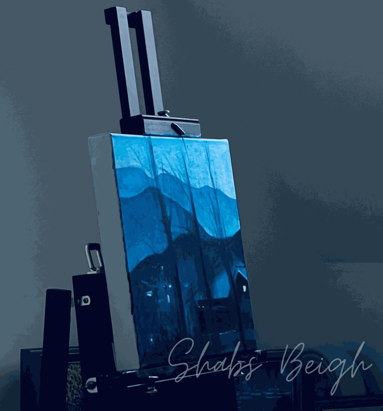 Shabs Beigh, Hamlet in the Himalayas, 2024