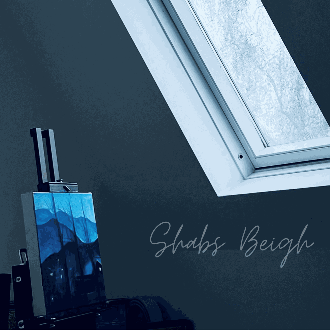 Shabs Beigh, Hamlet in the Himalayas, 2024