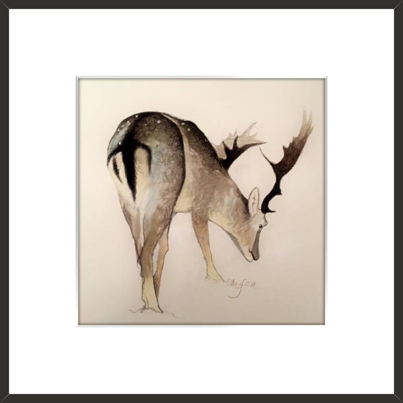 Shabs Beigh, Stag Study, 2019