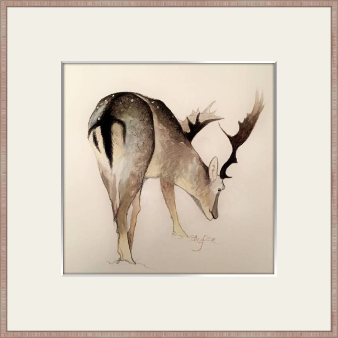 Shabs Beigh, Stag Study, 2019