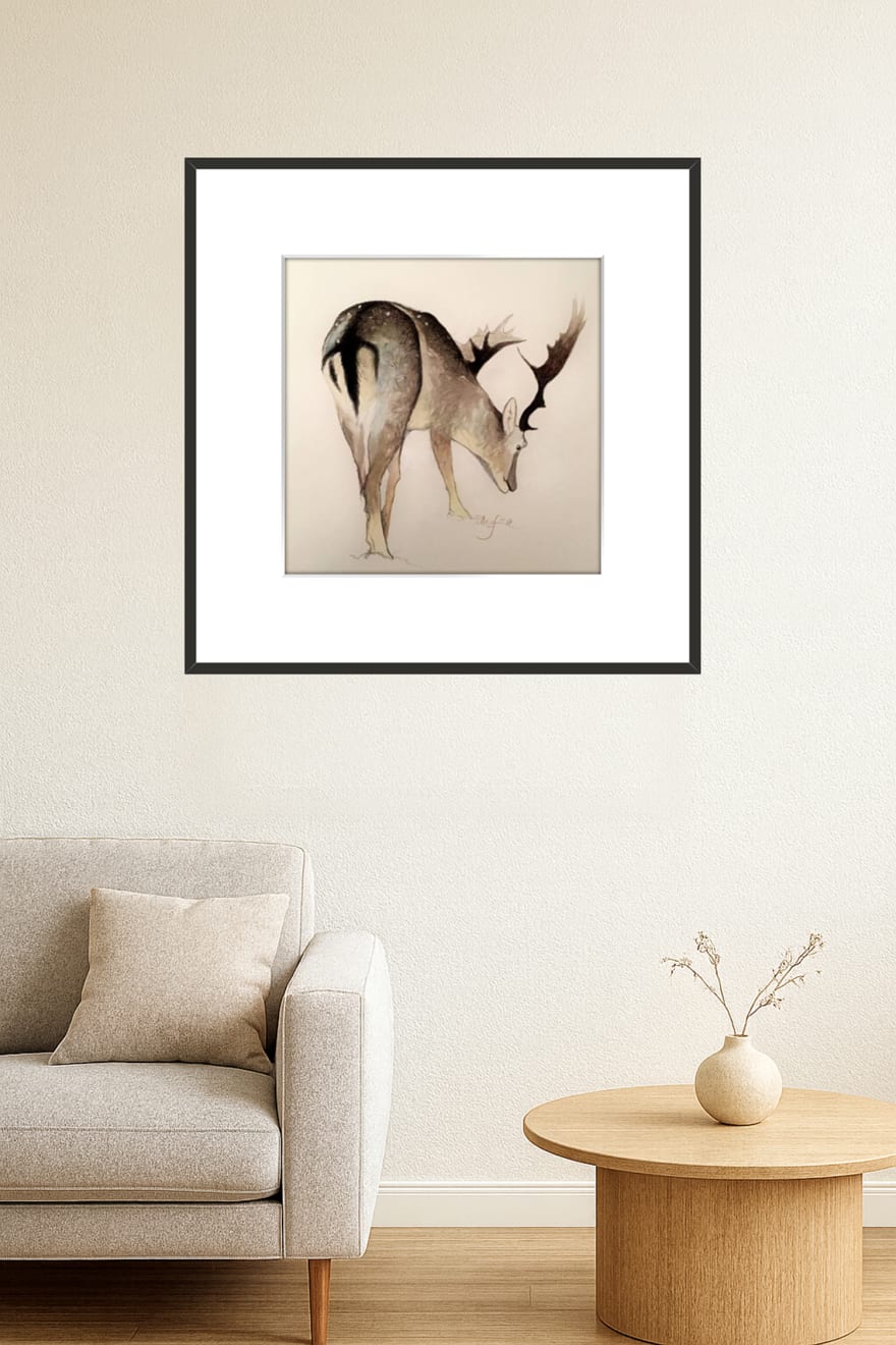 Shabs Beigh, Stag Study, 2019