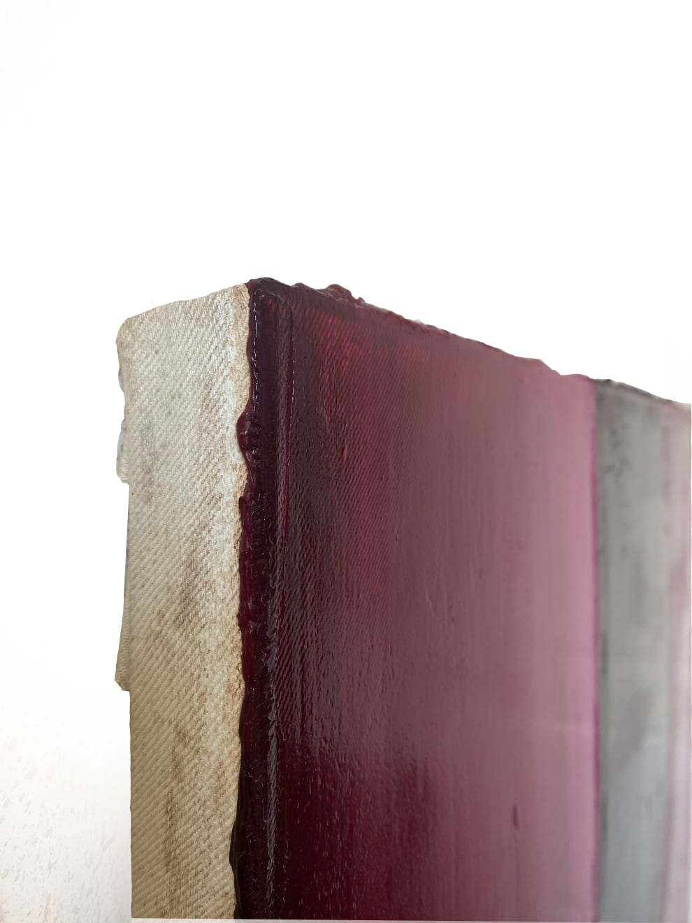 Divine Arboreal Sancturay , 2023