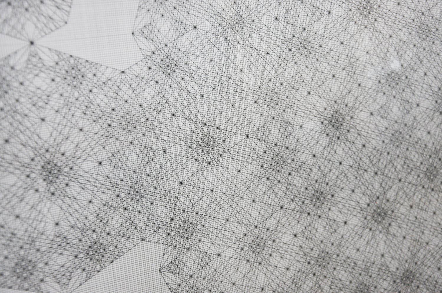 Nima Nabavi, 2019.11.10, 2019