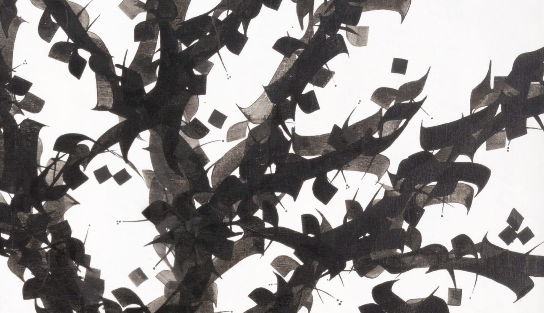 Pouran Jinchi, Derakht 15, 2002