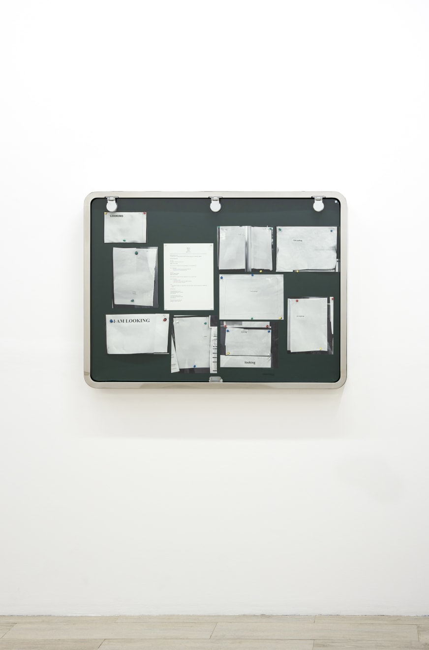 Khalid Jauffer, Looking I , 2024