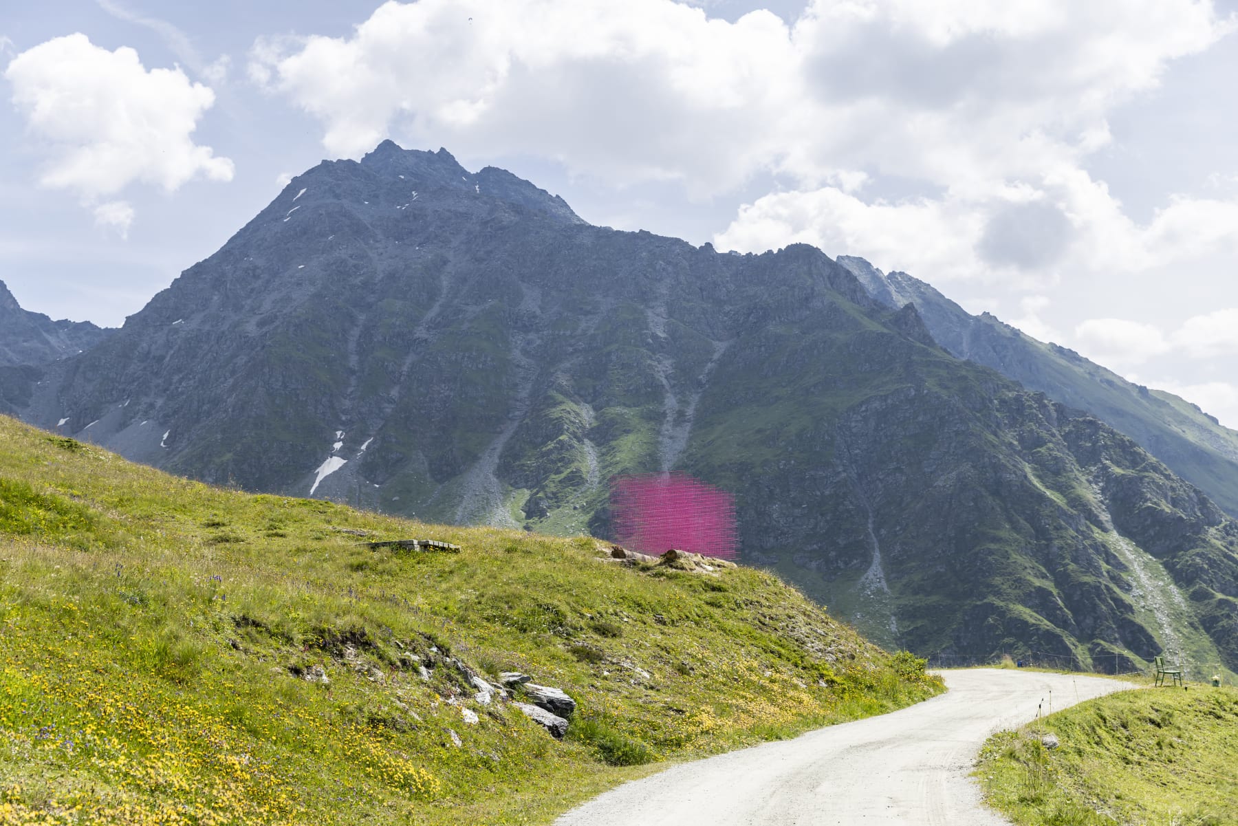 Installation views: Rana Begum and Steve Webb, No.1387 Fence, 2024, Powder-coated fencing, local wooden logs, Verbier 3-D Foundation Sculpture Park.