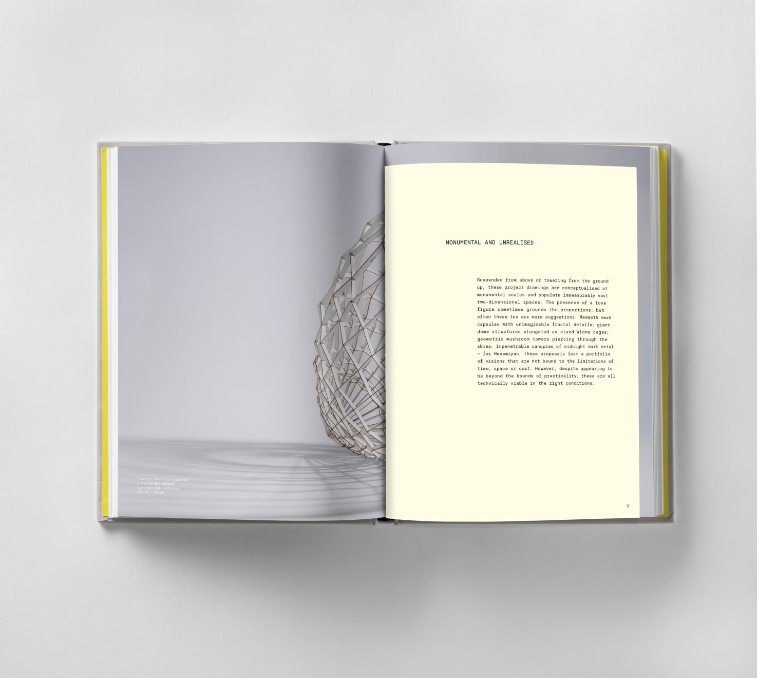 Sahand Hesamiyan: Primary Structures, published by Black Dog Press.