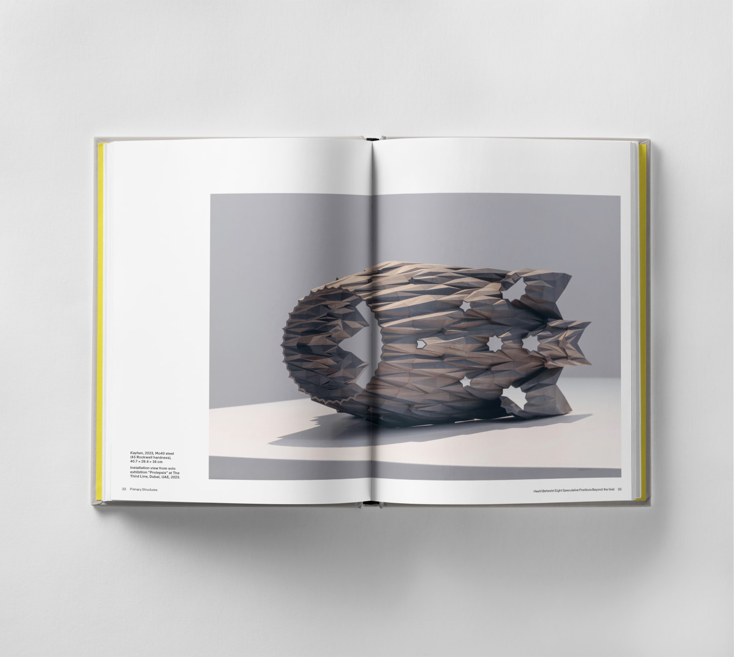 Sahand Hesamiyan: Primary Structures, published by Black Dog Press.