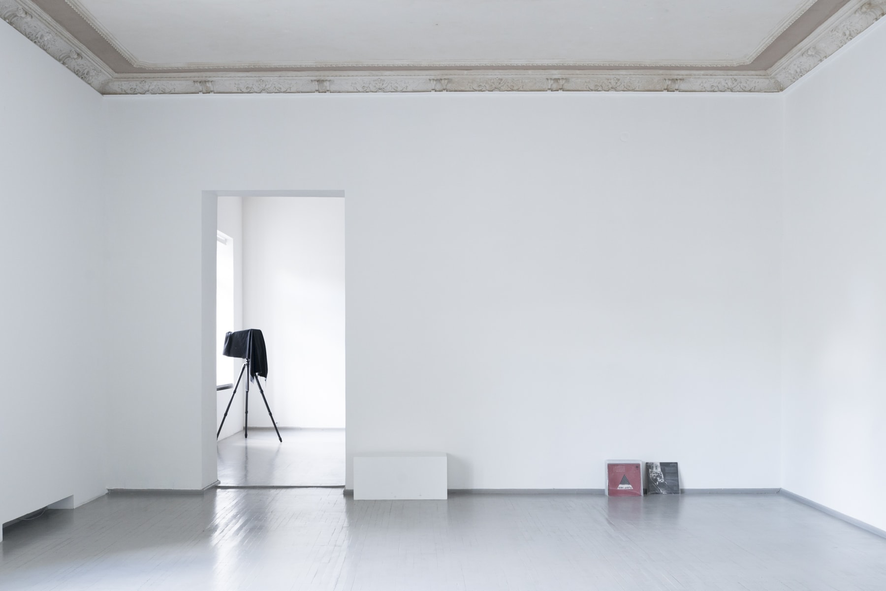 Photos by Laurynas Skeisgiela
