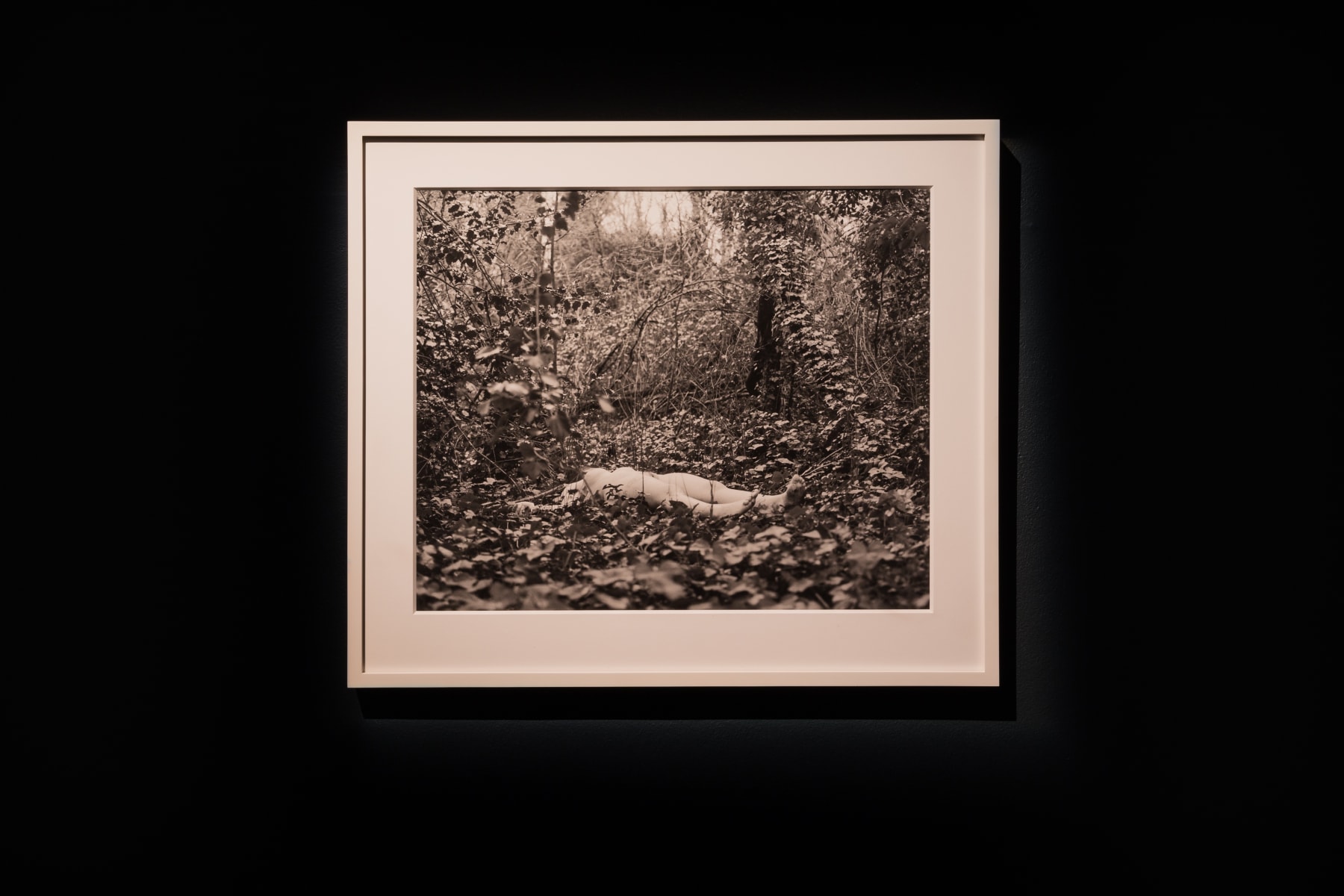 Photos by Andrej Vasilenko