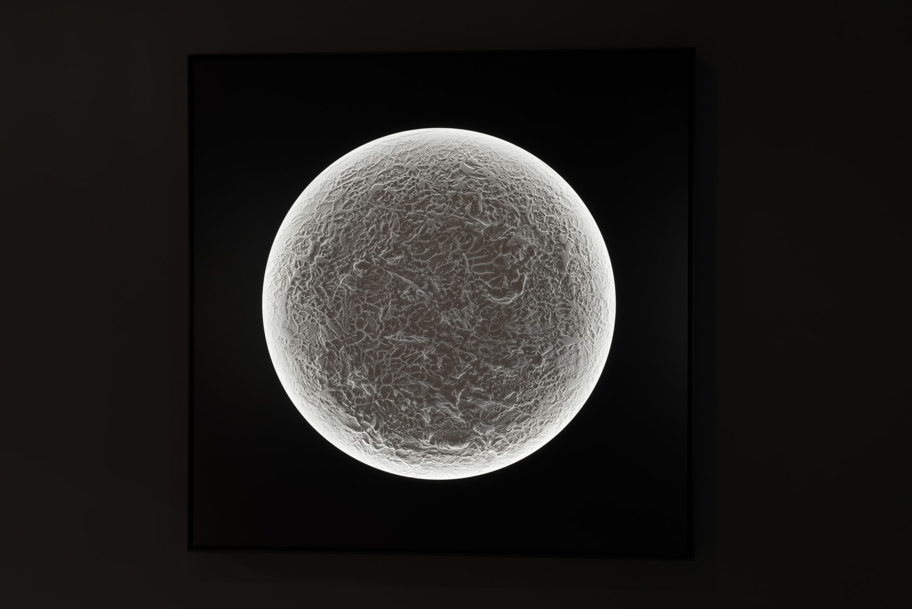 Photos by Arnas Anskaitis