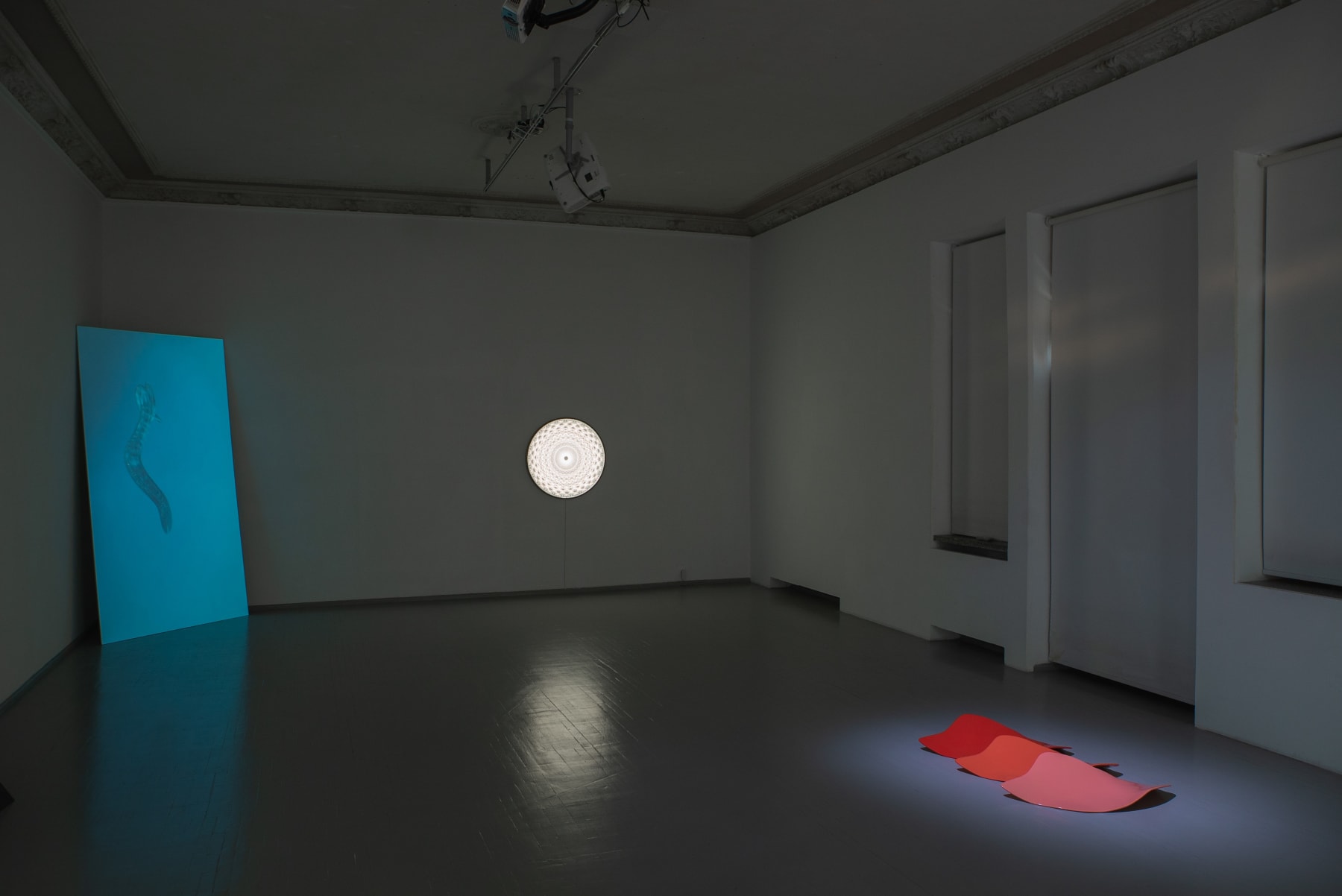 Installation view