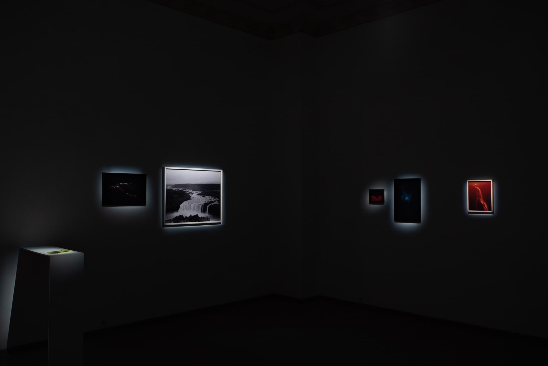 Photos by Laurynas Skeisgiela