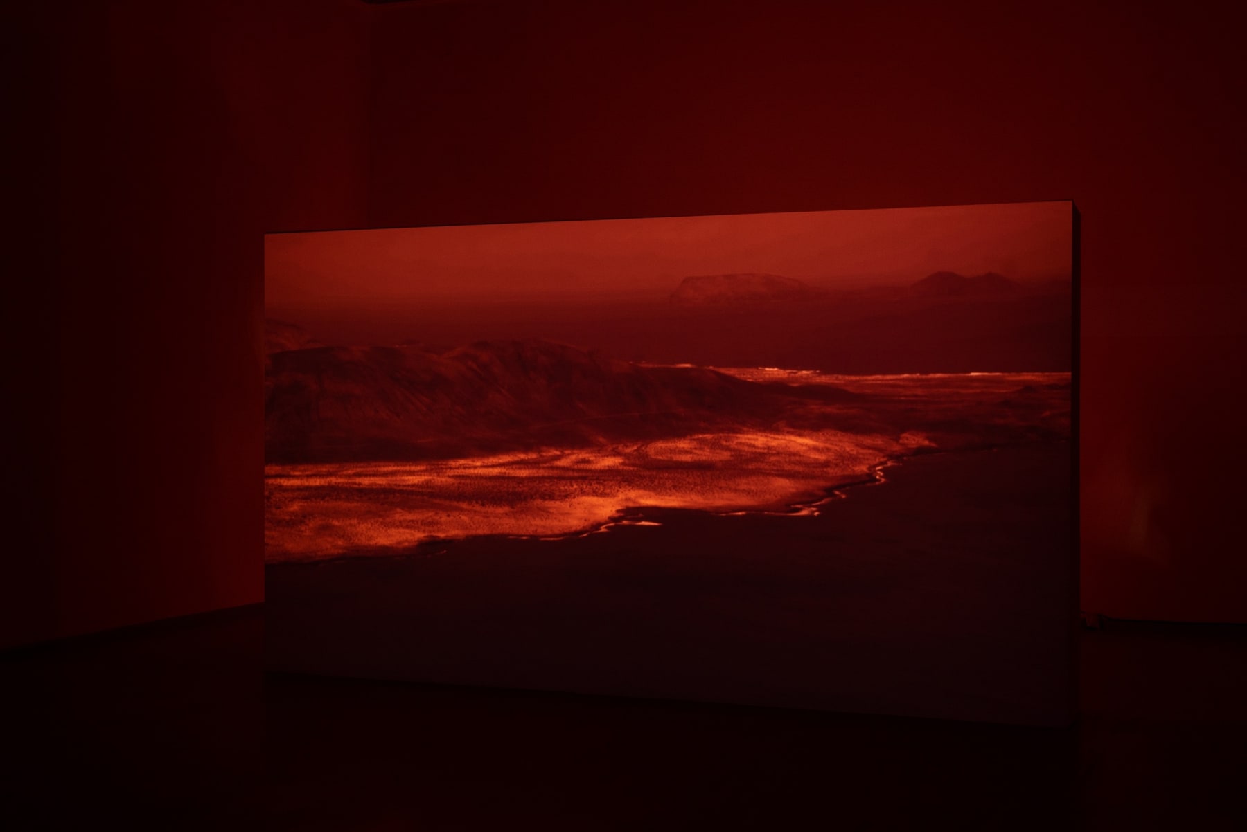 Photos by Laurynas Skeisgiela