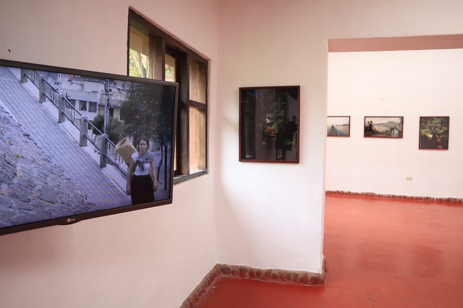 The Perilous Journey of María Rosa Palacios