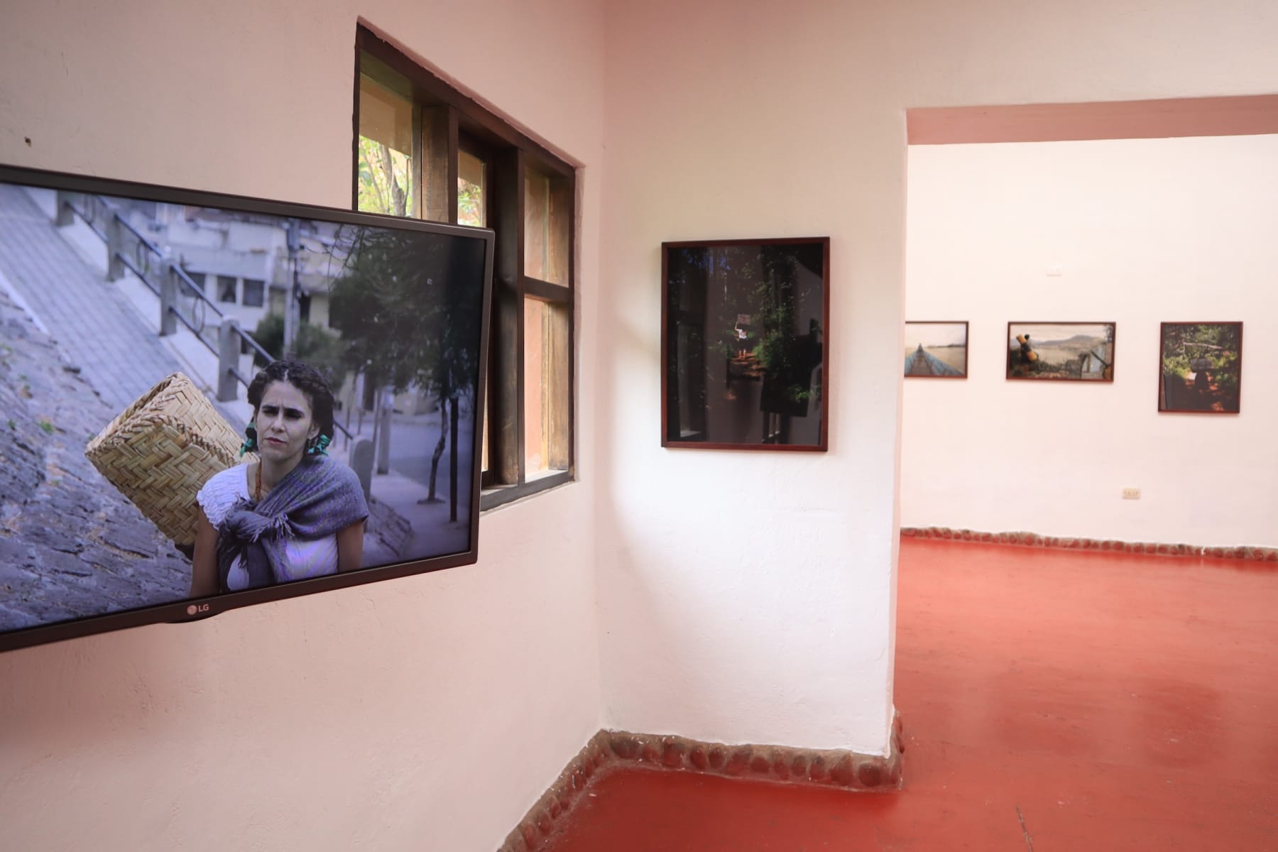 The Perilous Journey of María Rosa Palacios