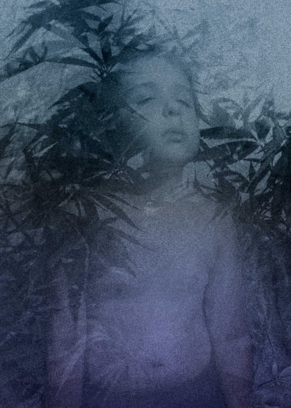 Nicolás Janowski, Plantificado I, 2019