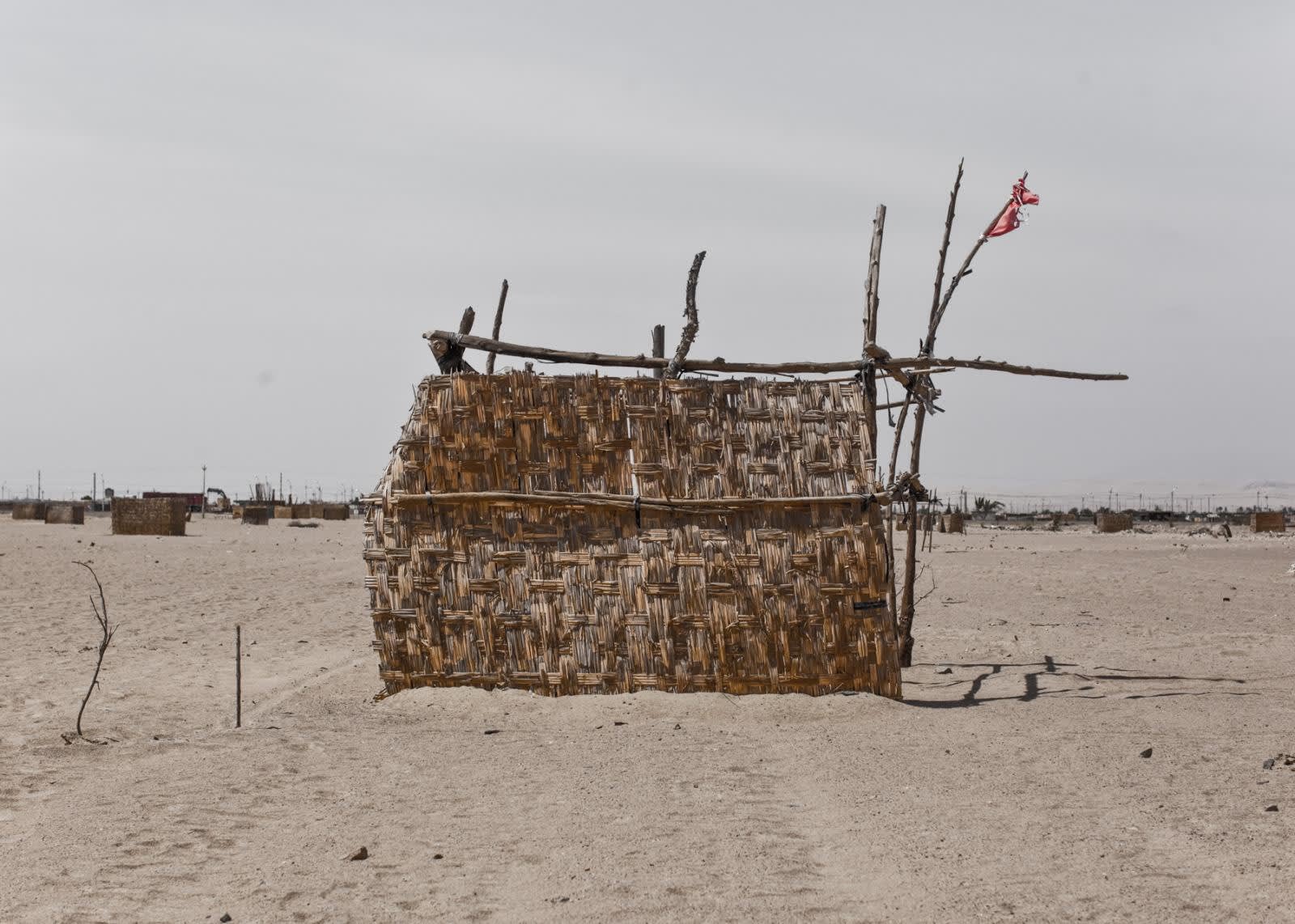 Musuk Nolte, DECIERTO, 2011