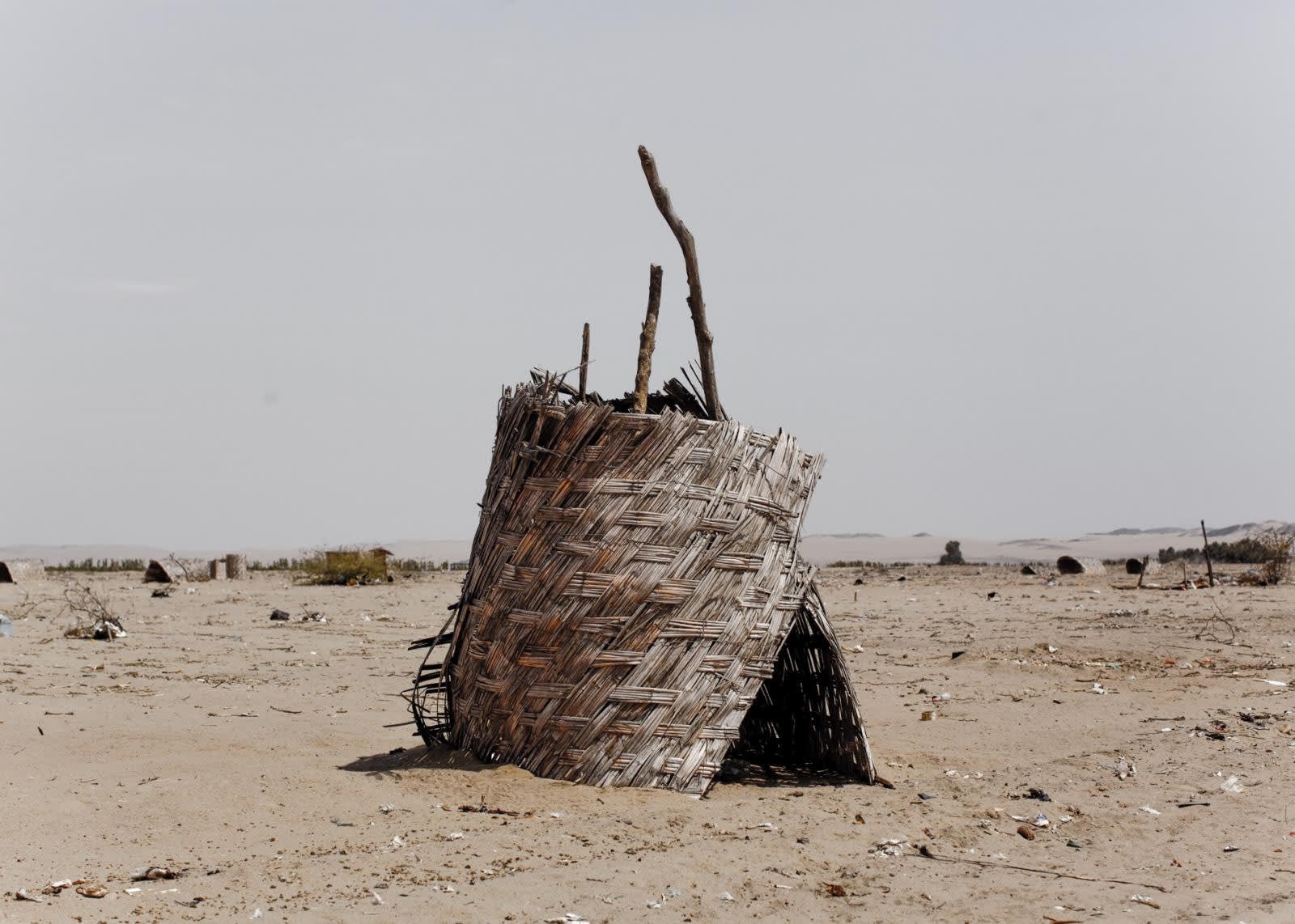 Musuk Nolte, DECIERTO, 2011
