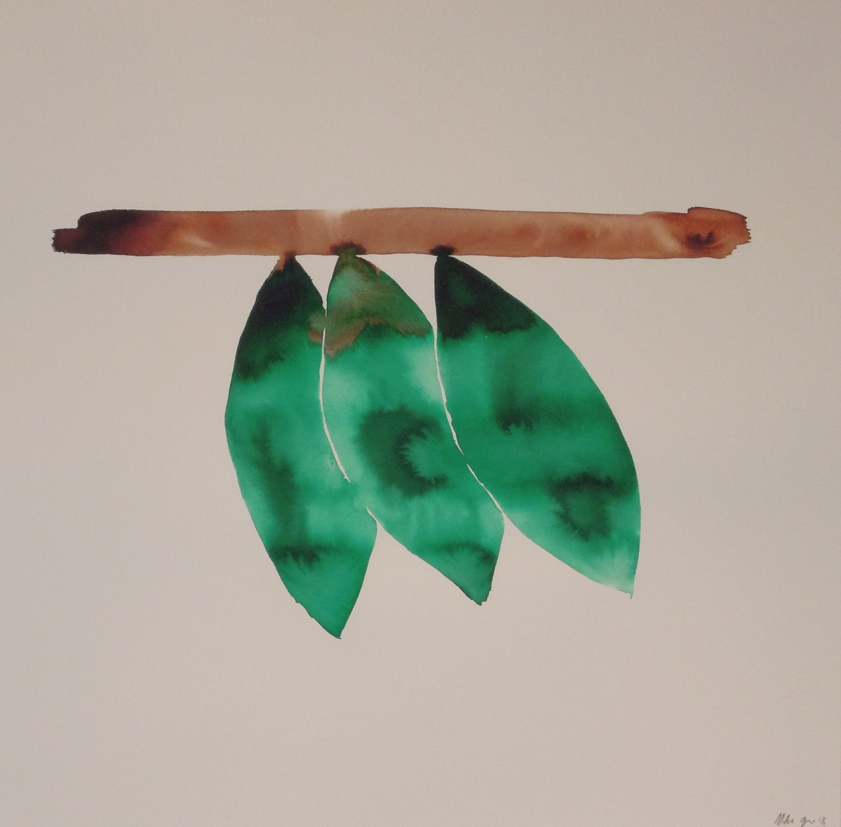 Nadia Ayari, Untitled (Leaves II), 2016