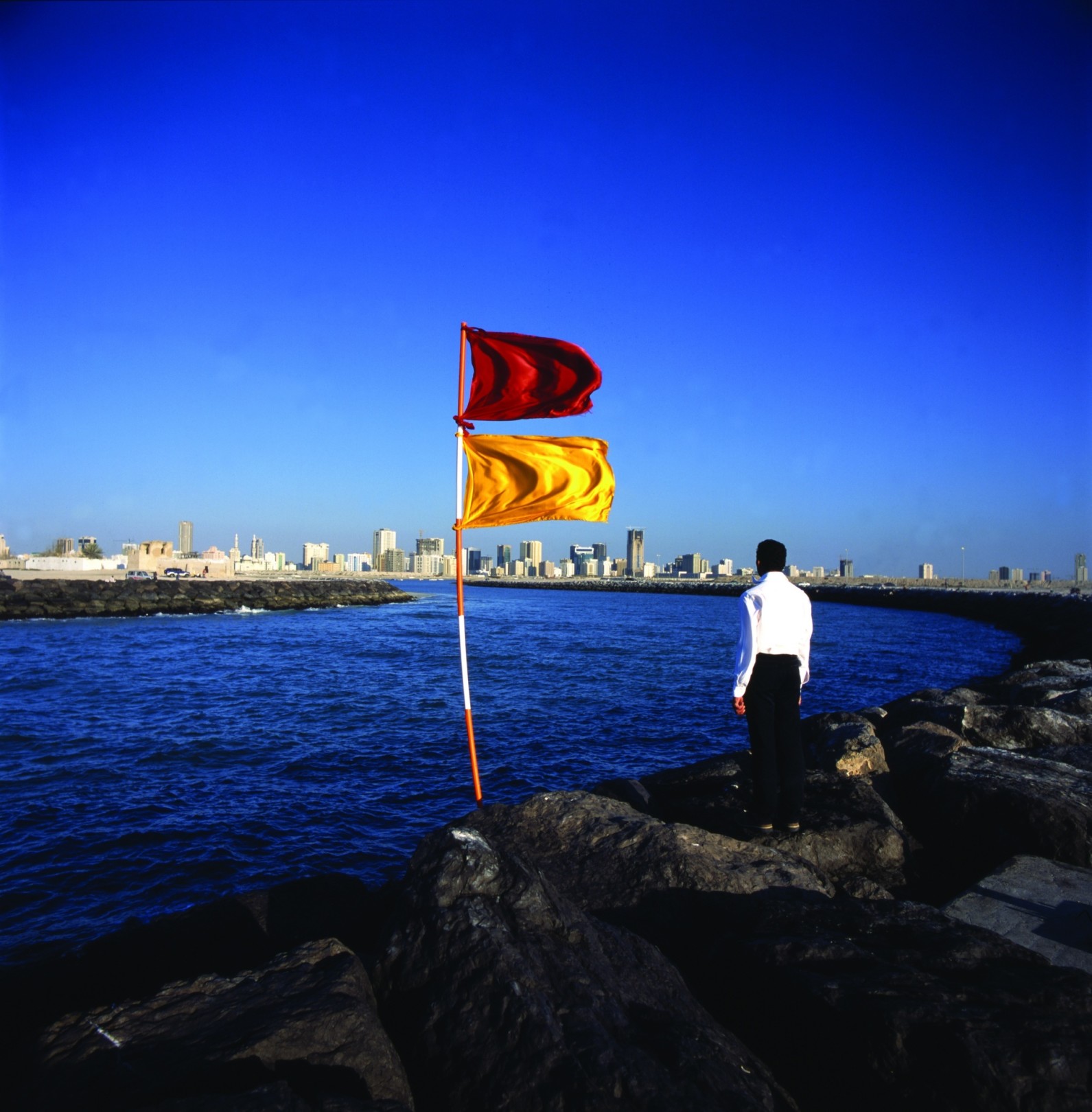Mohammed Kazem, Photographs with Flags, 2003
