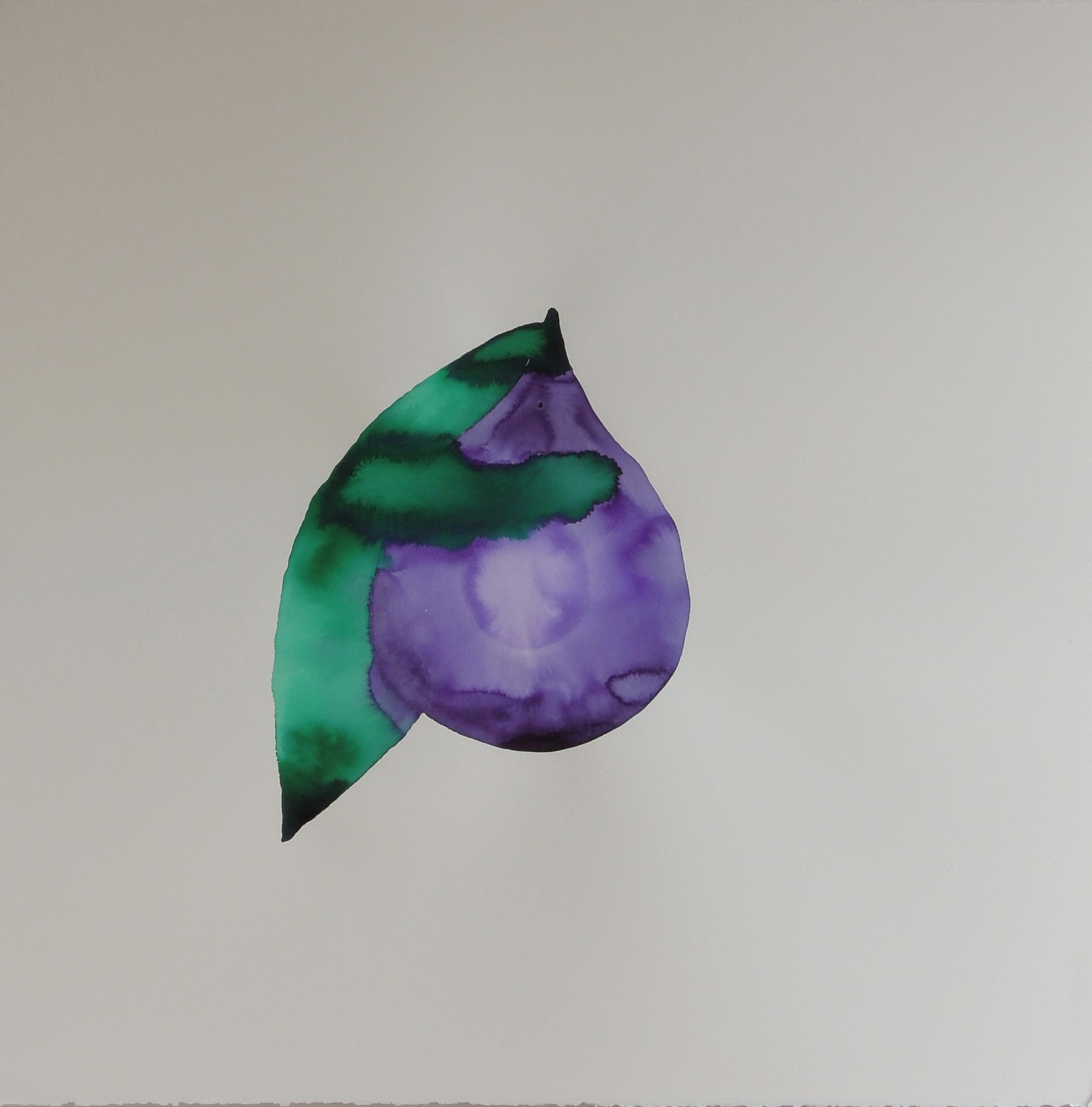 Nadia Ayari Fig III, 2015 Ink on paper 60 x 60 cm. / 22 x 22 in.