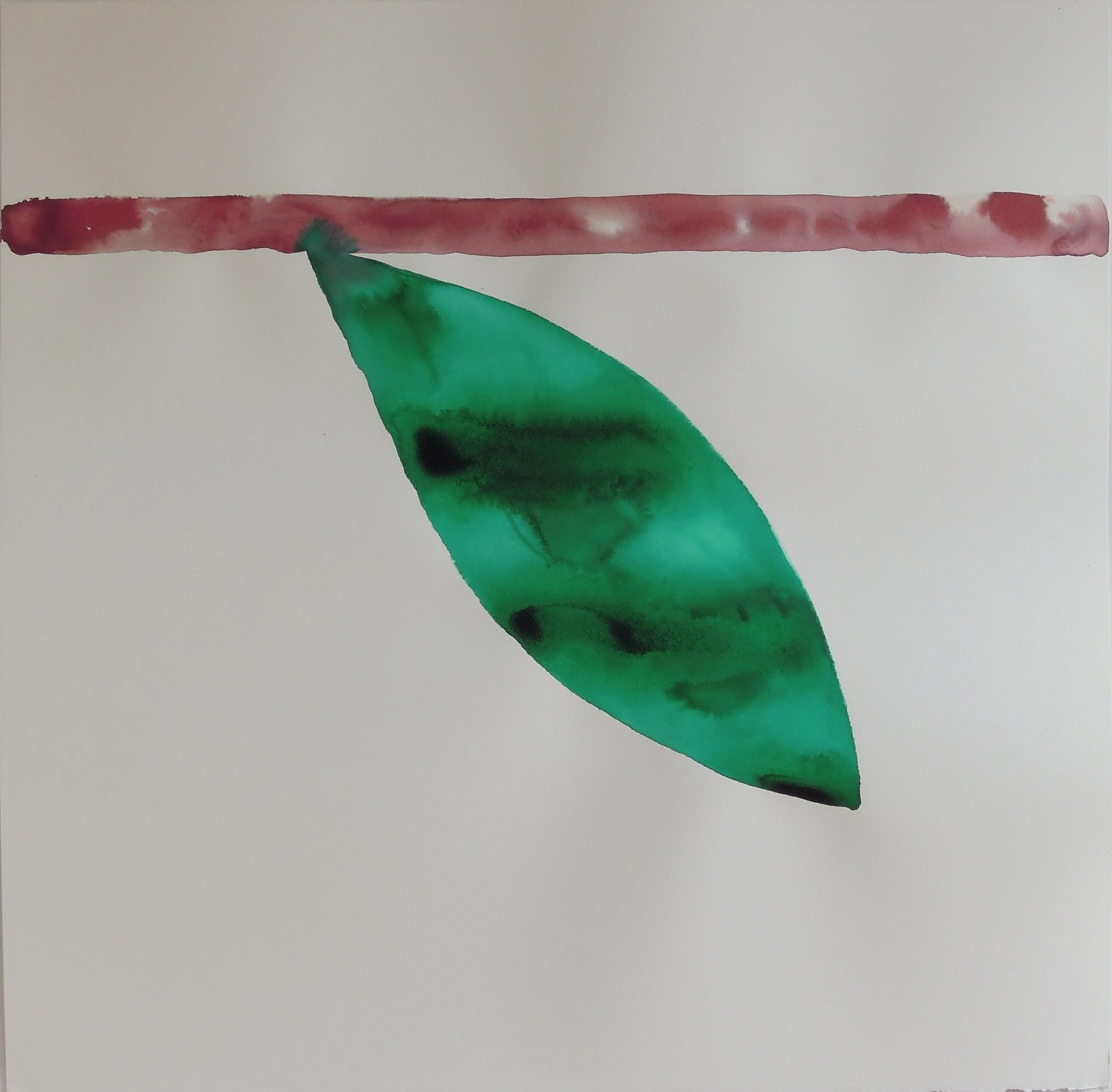 Nadia Ayari Leaf, 2015 Ink on paper 60 x 60 cm. / 22 x 22 in.