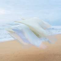 Silk no. 9, Montara, California