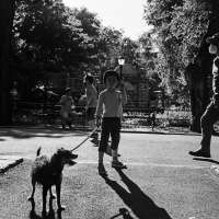Filou, Alexander, NYC