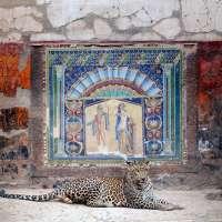 Bacchus in Attendance, House of Neptune and Amphitrite, Herculaneum
