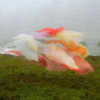 Silk no. 8, Fort Bragg, California
