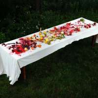 The Midnight Feast, Rockport, Maine