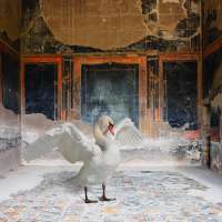 Zeus Disguised, House of the Stags, Herculaneum