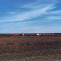 Train Cars in Field