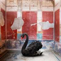 Leda's Seduction, House of the Red Walls, Pompeii